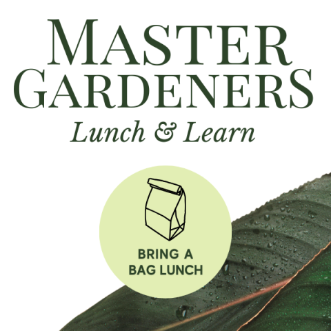 Master Gardeners