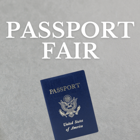 Passport on gray