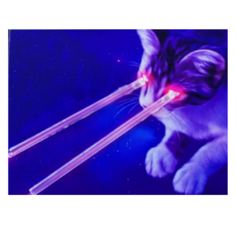 laser cat card