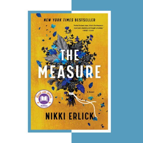 The Measure by Nikki Erlick