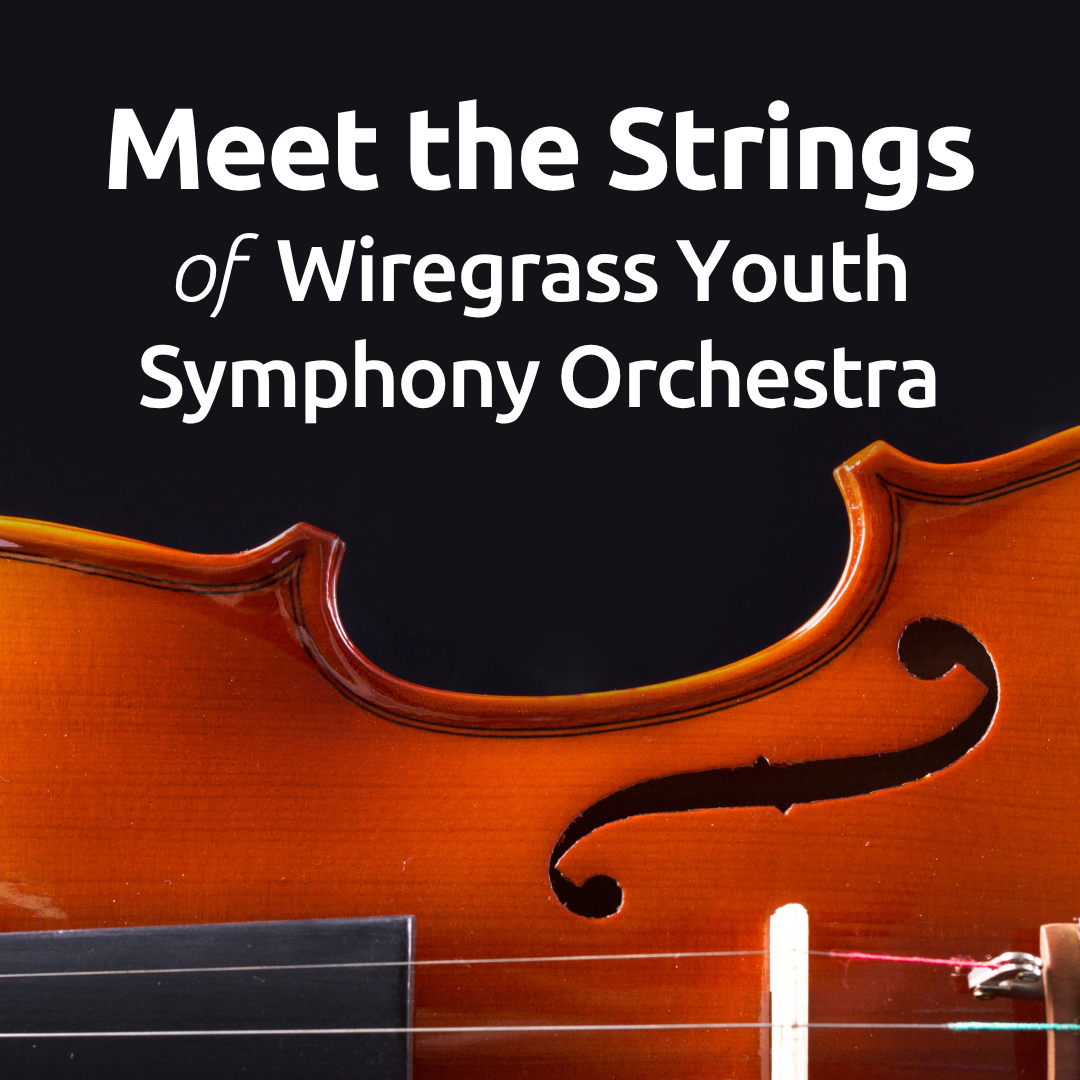 Meet the strings